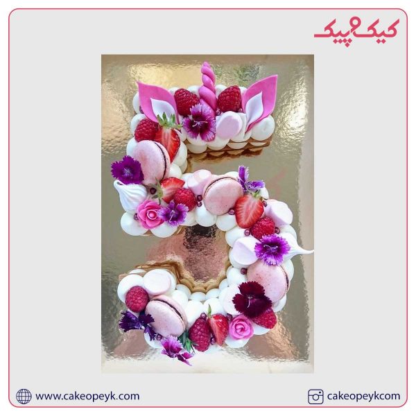 بیسکوکیک عدد 5