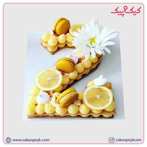 بیسکوکیک عدد 2