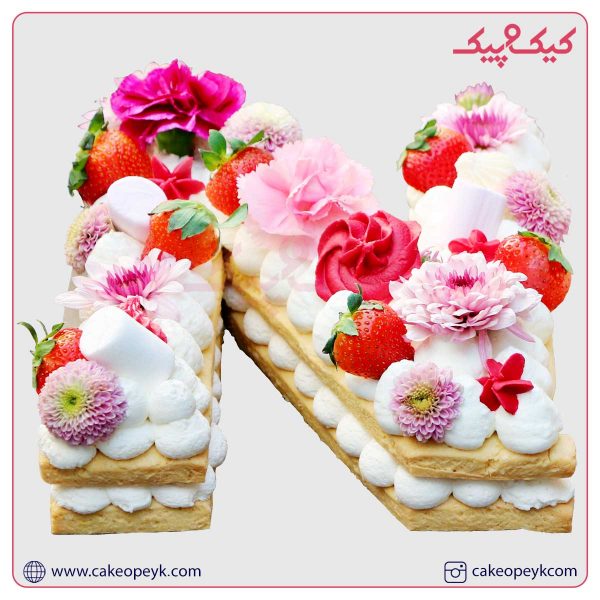 بیسکوکیک حرف N