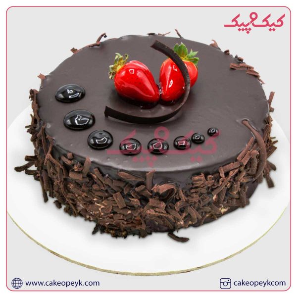 کیک تولد سایان