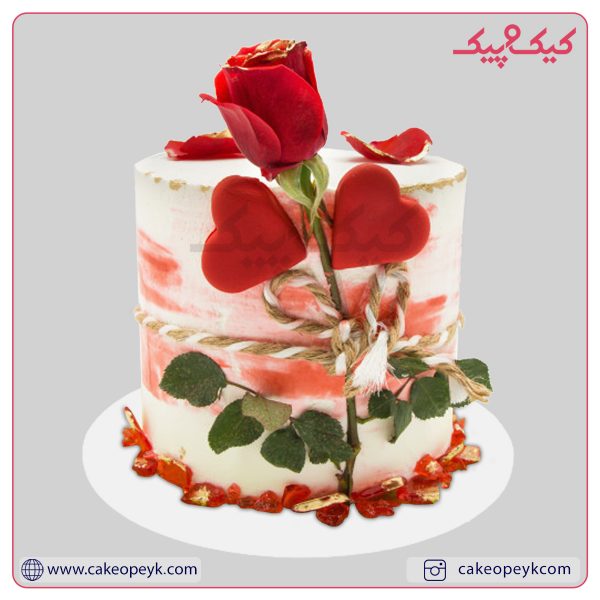 کیک تولد آگرین